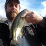 February Bass