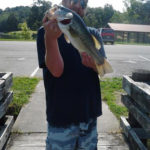 Largemouth Bass