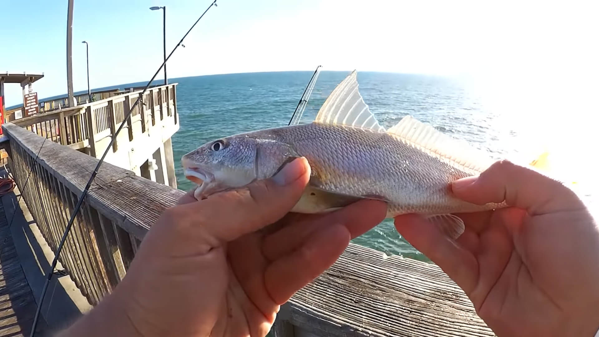 Pier Fishing for Beginners Easy Fishing at the Gulf State Park Pier