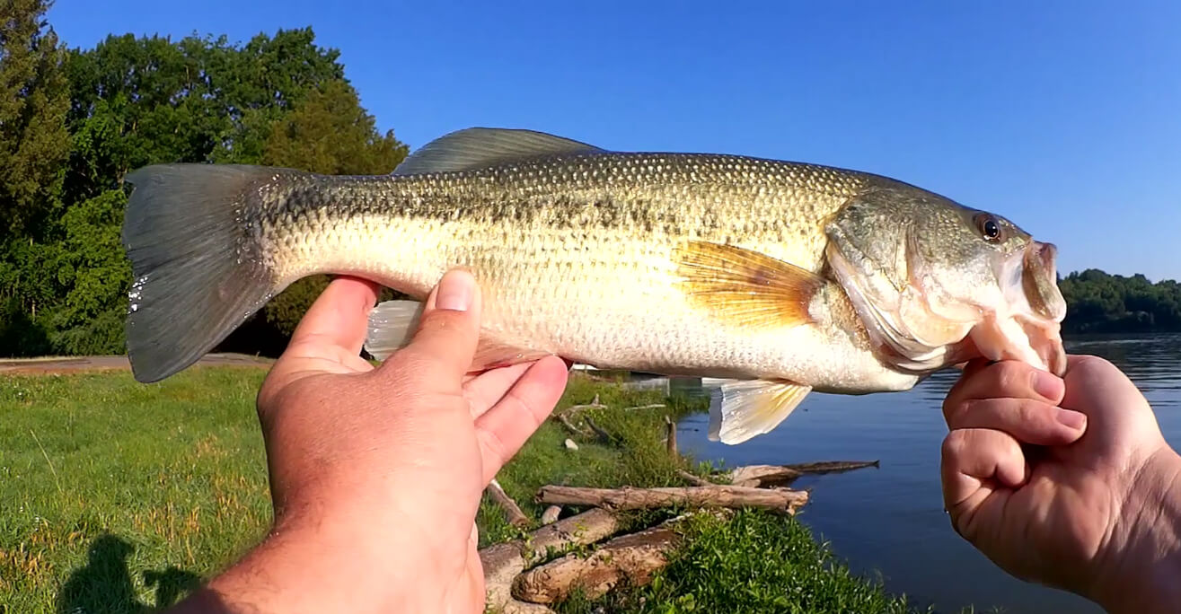 Testing a New Bass Fishing Lure FUZZY Craw Big Fish Catch Surprise - Rabid Baits Craw