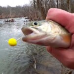 Stocked Trout Fishing Tips for Beginners How to Catch Stocked Trout - Realistic Fishing