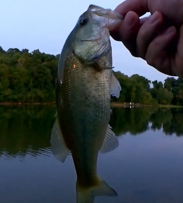 Realistic Fishing when its HOT Summer Bass Bluegill Fishing ZMAN - Realistic Fishing