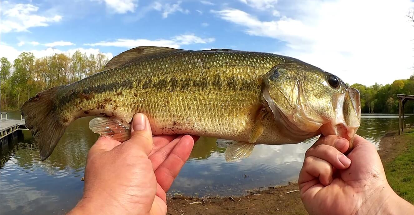 Swimbait Bass Fishing With the Cheapest Fishing Combo at Walmart - Realistic Fishing