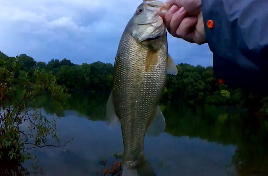 Bass Fishing During a Hot Summer Storm Fishing With Subscribers Lures 7 - Realistic Fishing