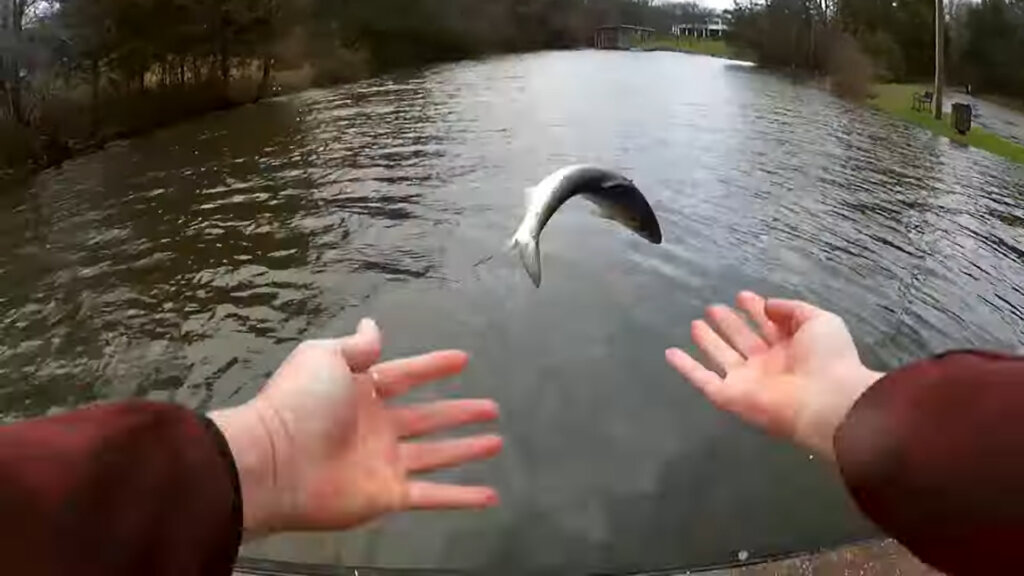 Early Spring Fishing from the Bank Fishing a Flooded Lake Creek - Realistic Fishing