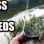 july 8 bass heart swim baits - Realistic Fishing