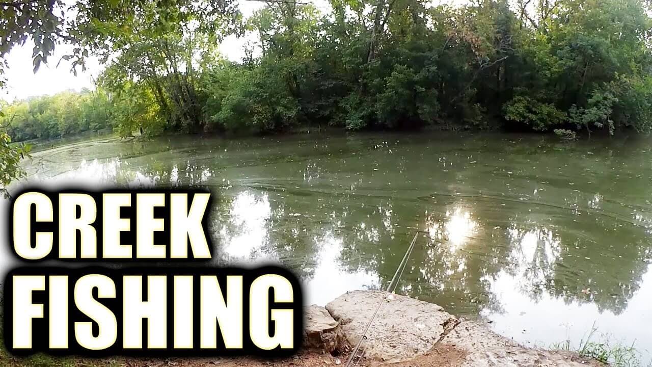 bank fishing with1 inch gulp minnows - Realistic Fishing