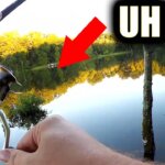 i should have used a baitcaster losing bass on light tackle fishing - Realistic Fishing