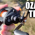 ozark trail baitcaster review the 2 year update - Realistic Fishing